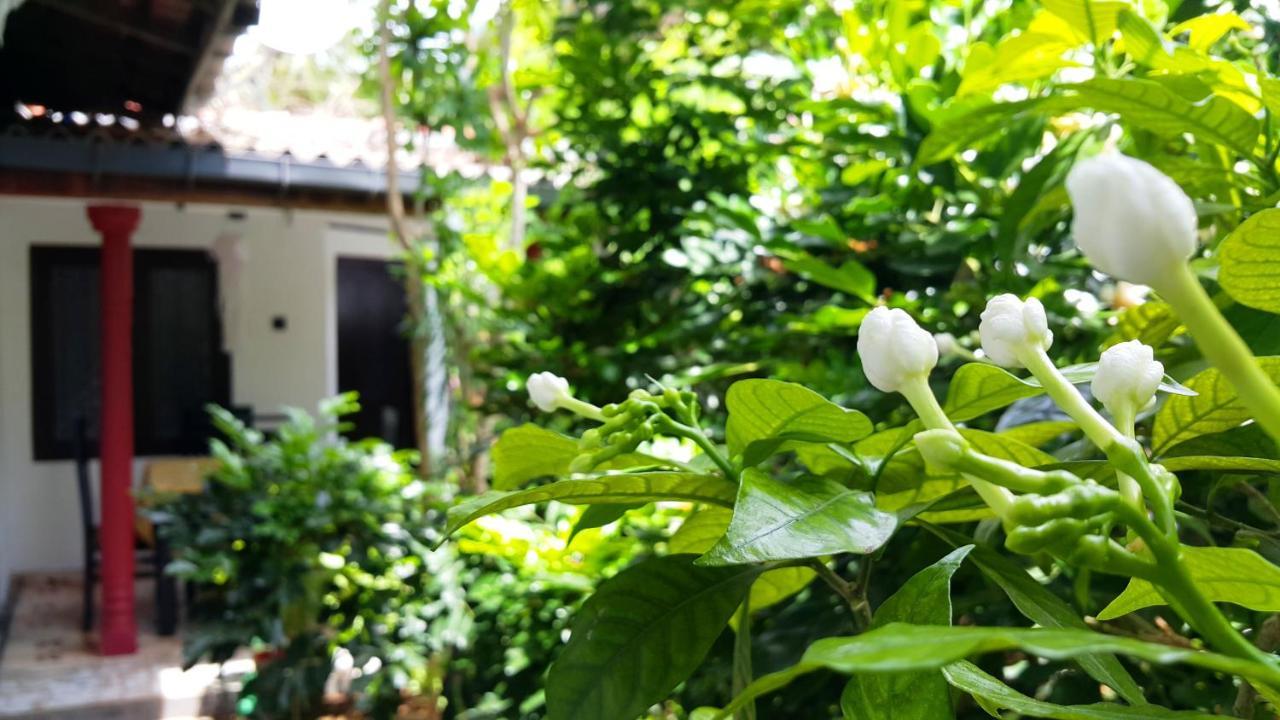 Green Garden Guest Мірісса Екстер'єр фото